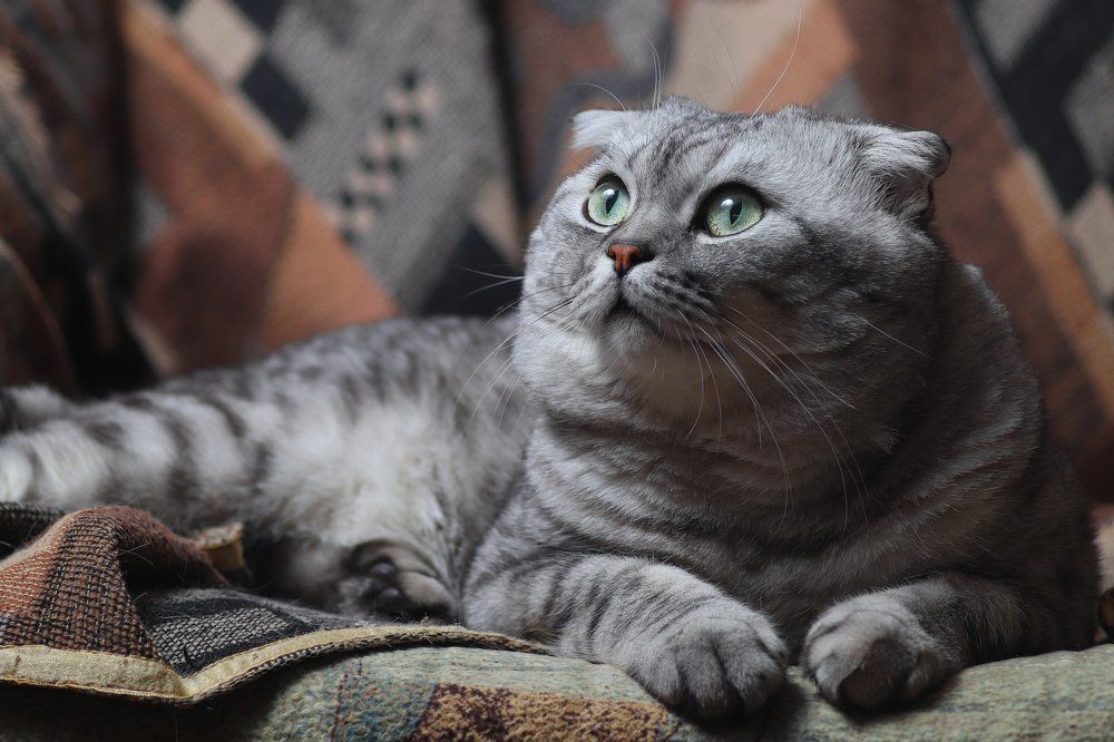 Photograph by Дмитрий Медянников