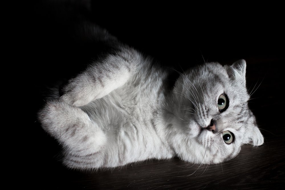 Photograph by Дмитрий Медянников