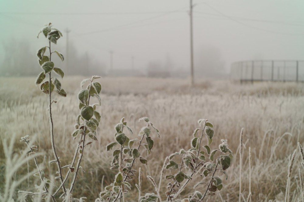 Осенний туман.