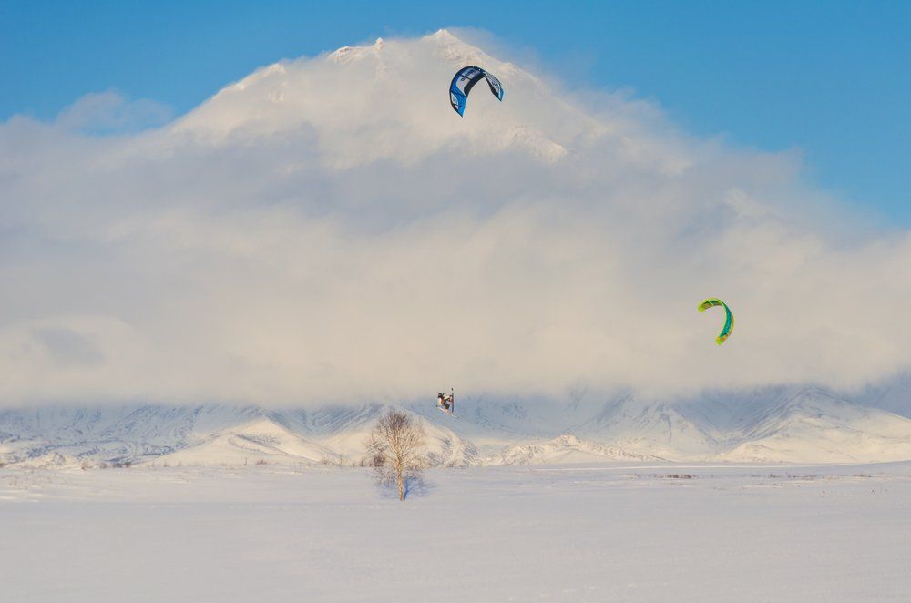 Повелитель змей