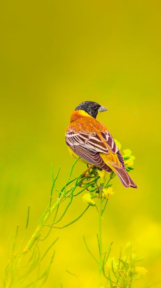 Photograph by Pedram rezapoor