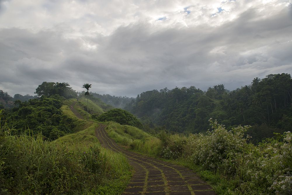 Тропа хужожников