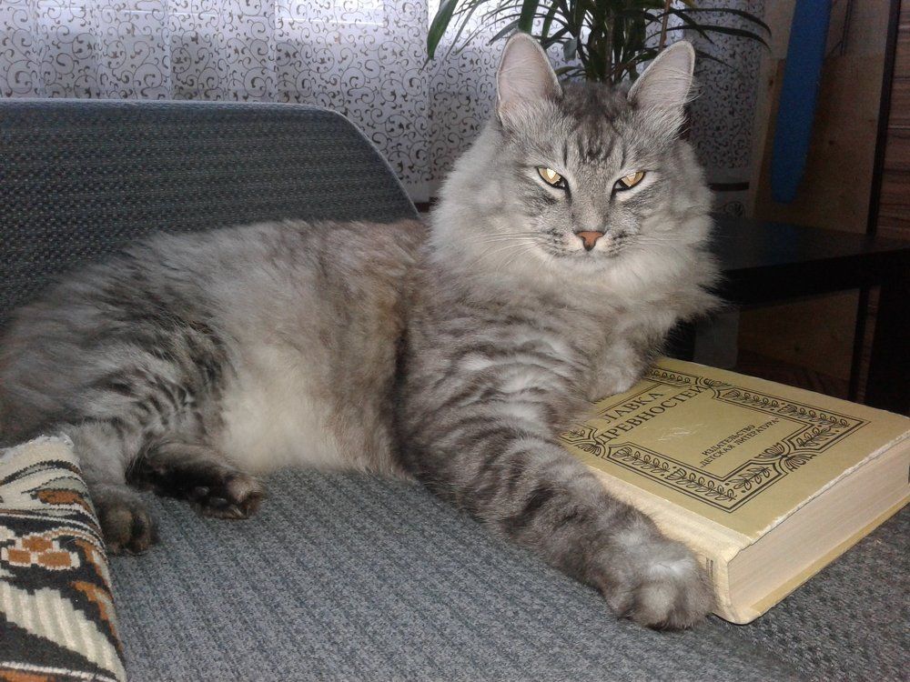 Photograph by Олег Красильников