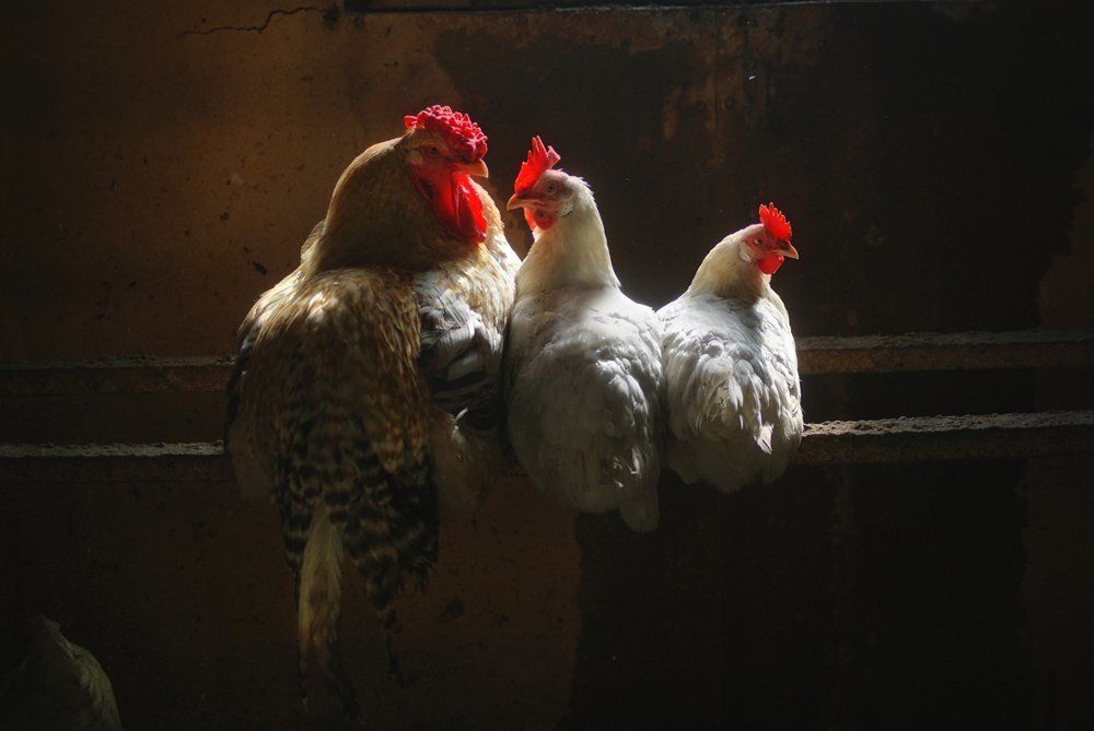 Ты самая красивая...