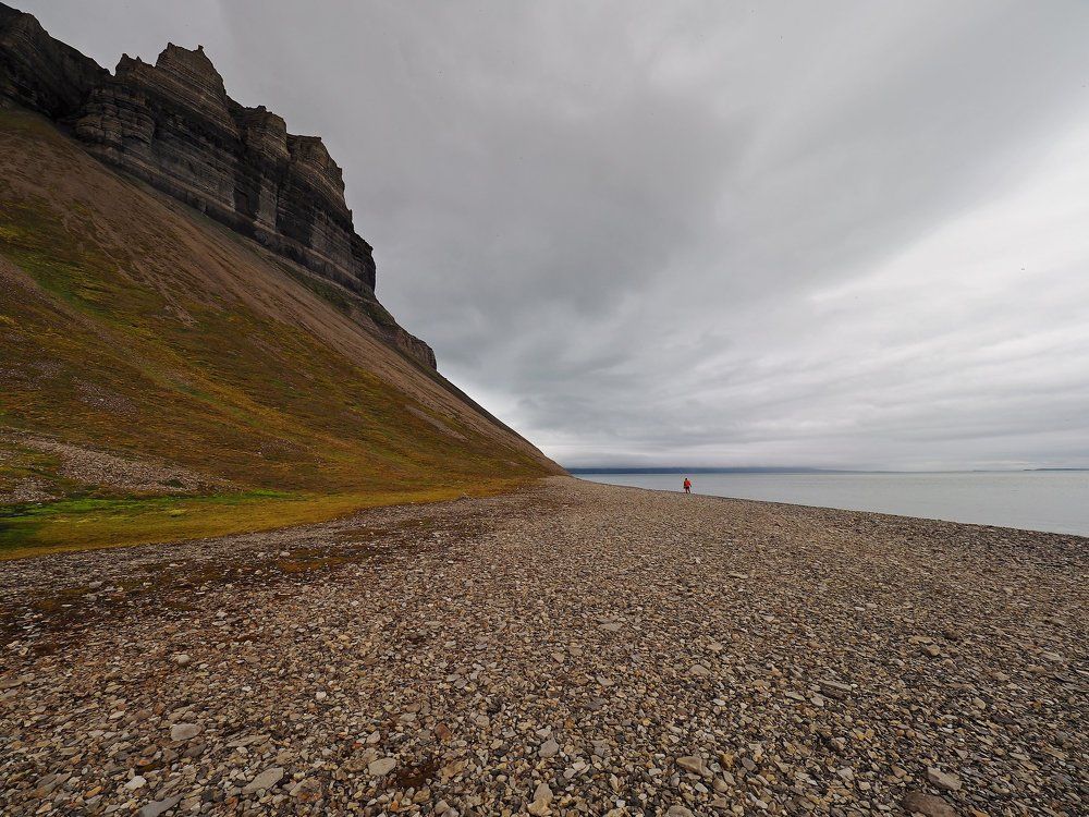 Одинокий странник