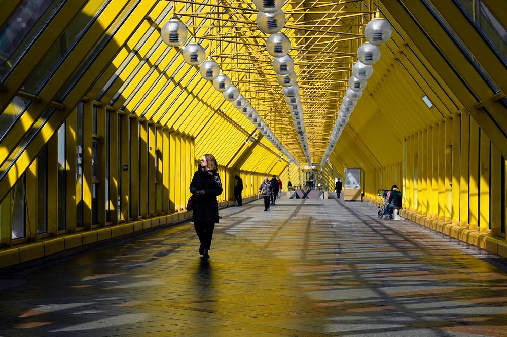 Пушкинский мост