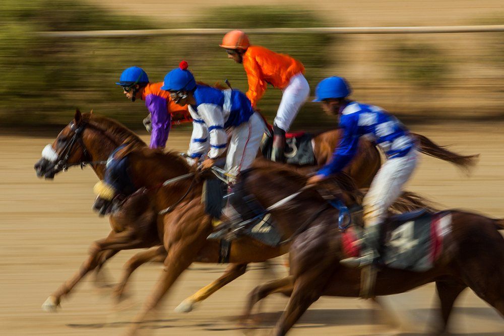 horse racing