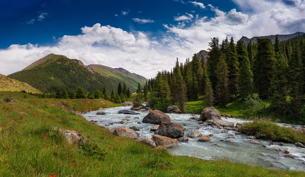 Photograph by Виктор Поляков