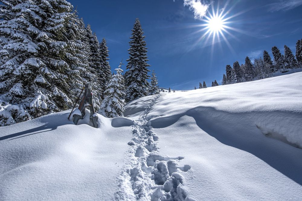 Тропа к солнцу