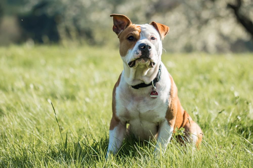 Photograph by Elena Gebert