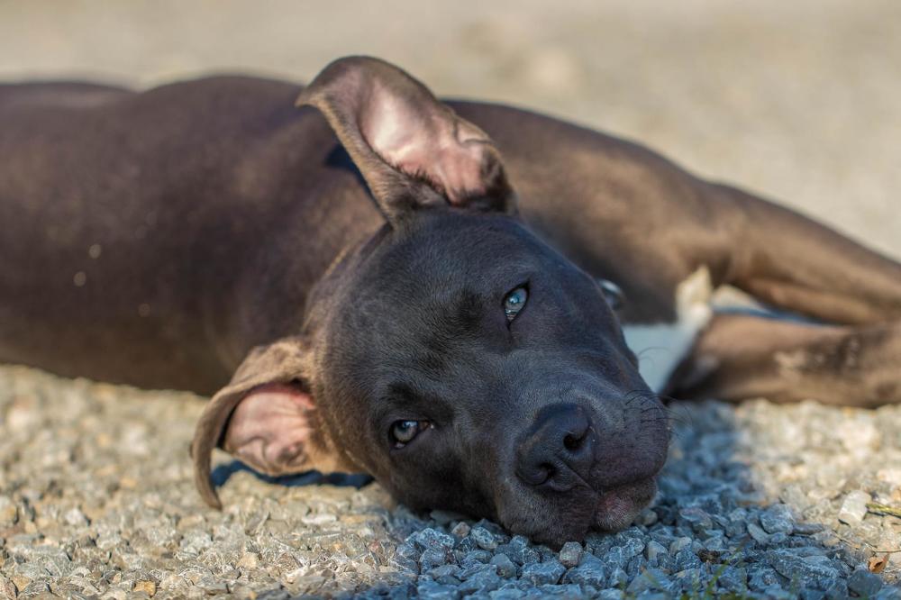 Photograph by Elena Gebert