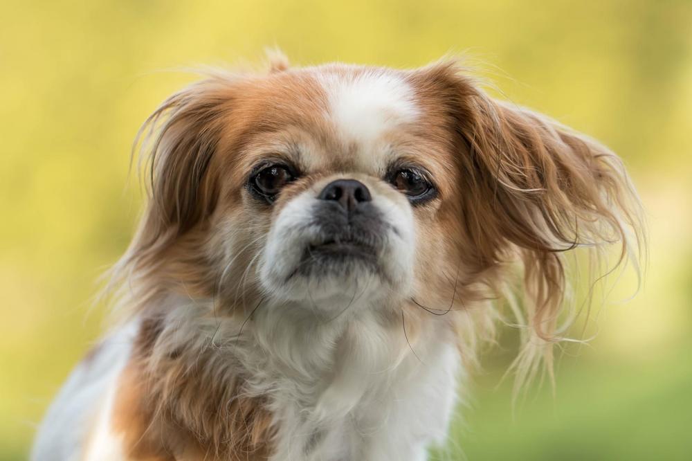 Photograph by Elena Gebert