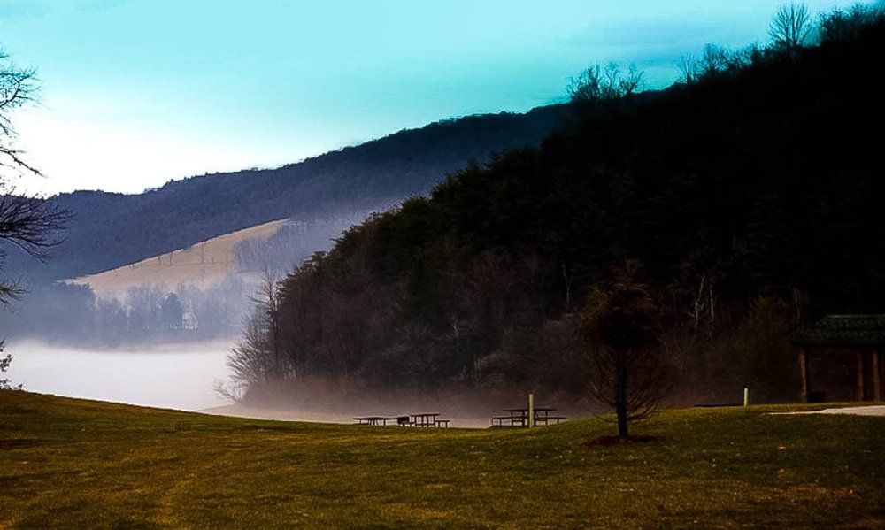 Foggy Morning