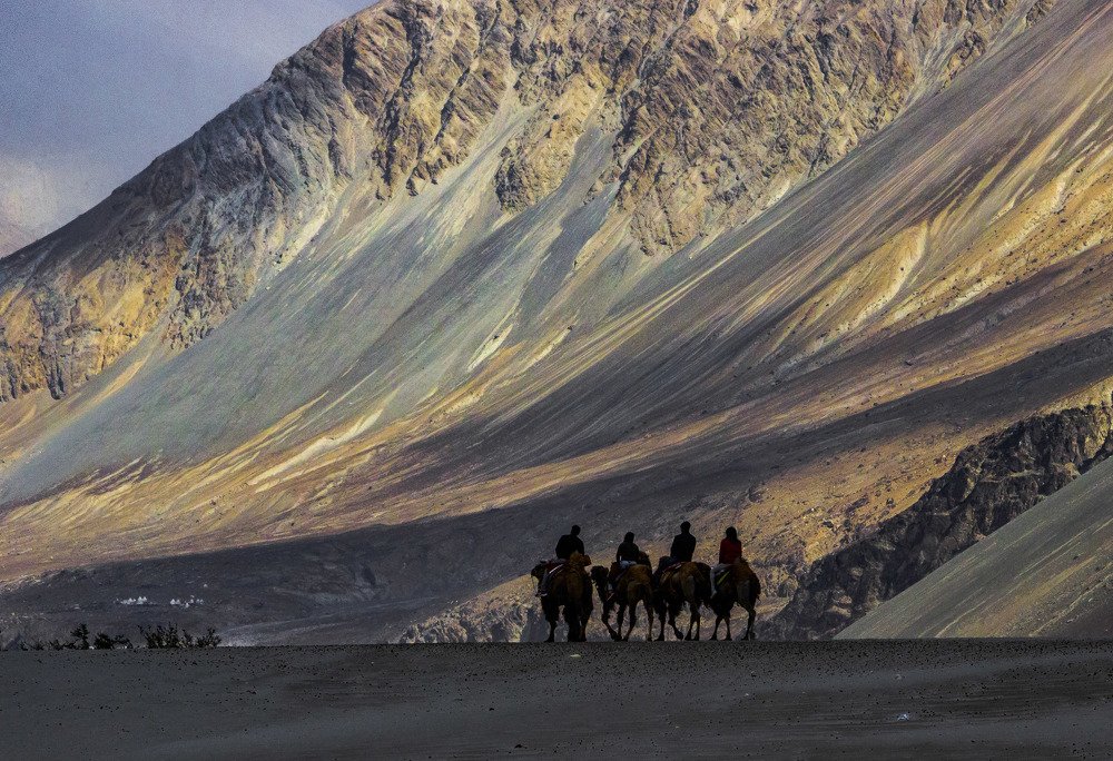 Journey in Cold Desert