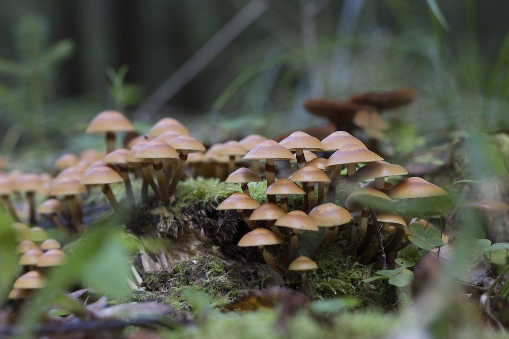 Photograph by Алексей Труханович