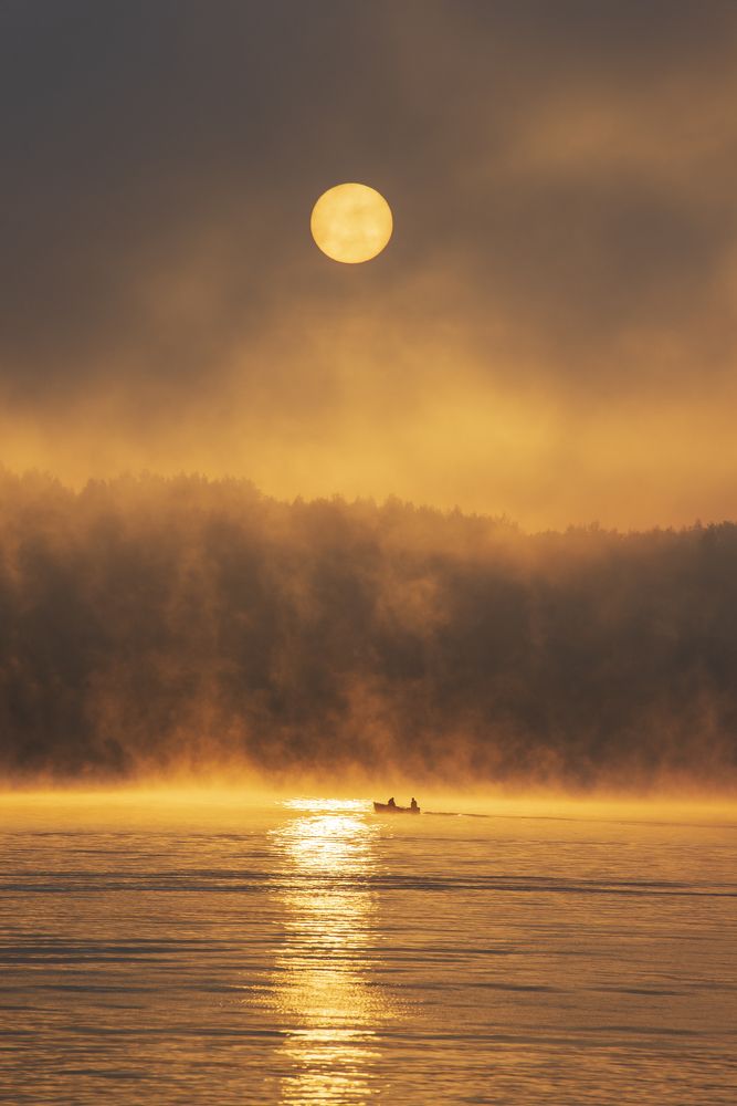Туманное утро