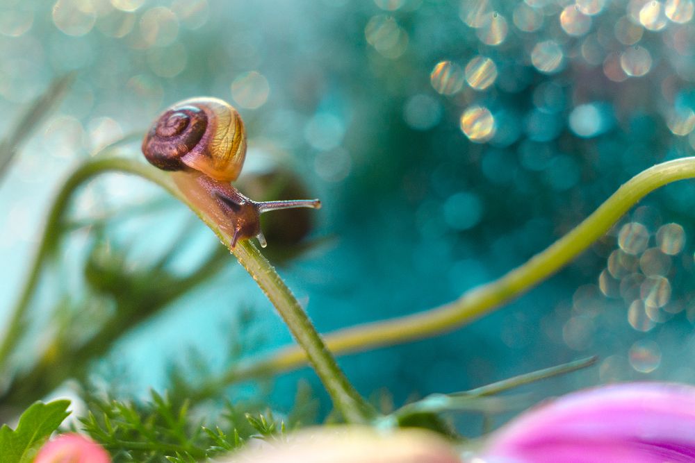 Photograph by Аксана Чалова