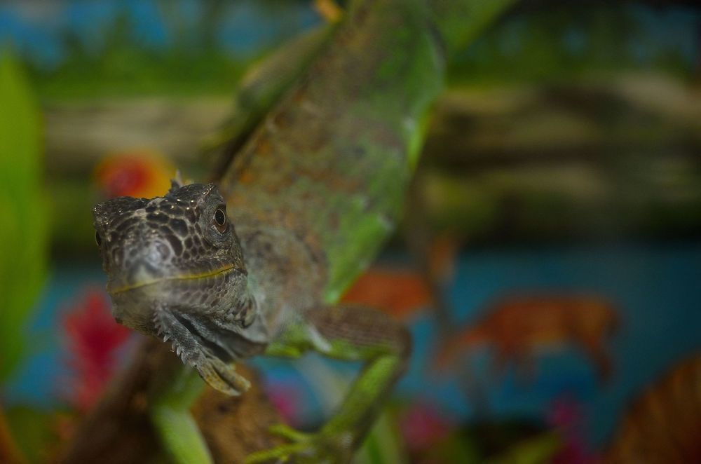 Photograph by Елена Васильева