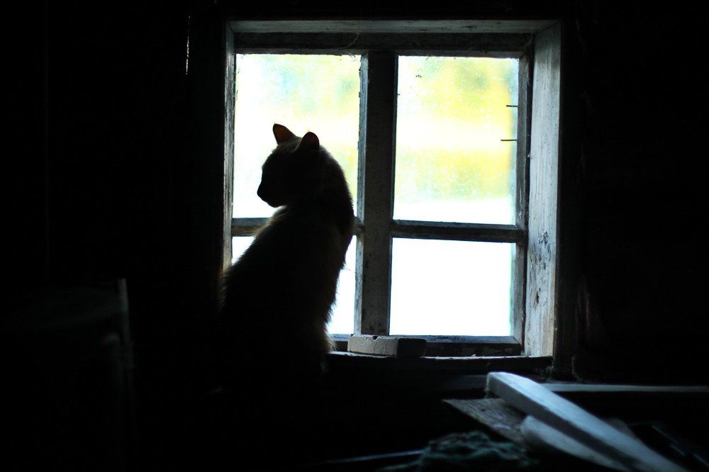 Photograph by Анна Кесарева