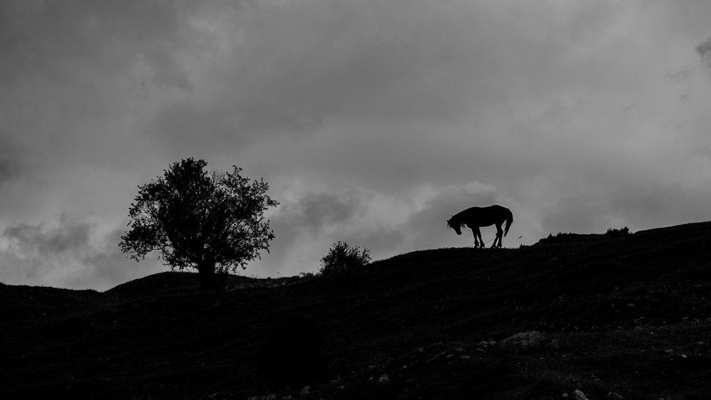 Путы одиночества.