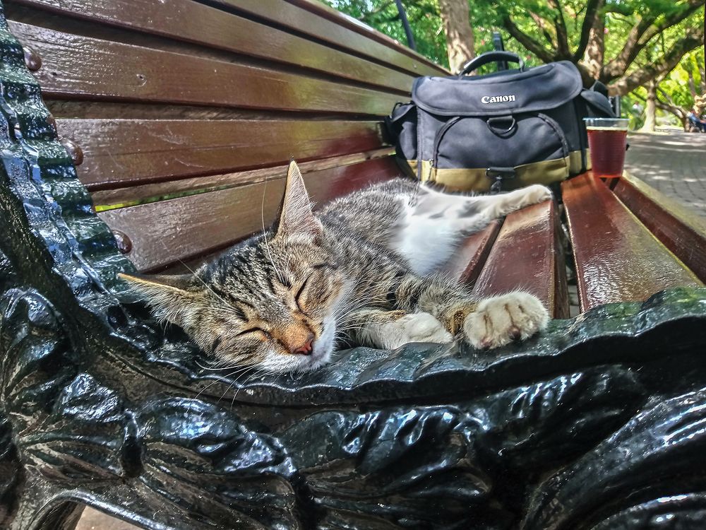 Счастливые часов не замечают!