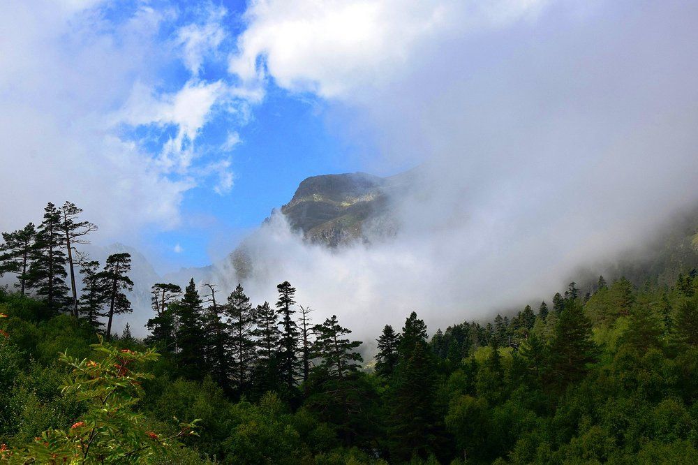 Окно в тумане