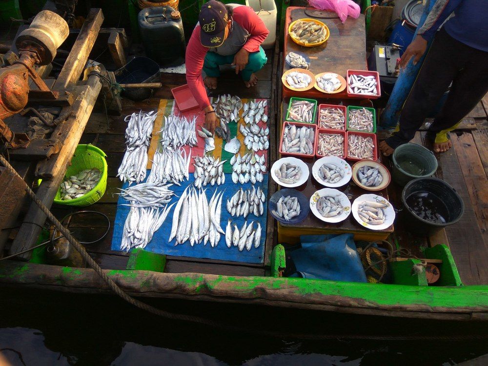Selling Fish