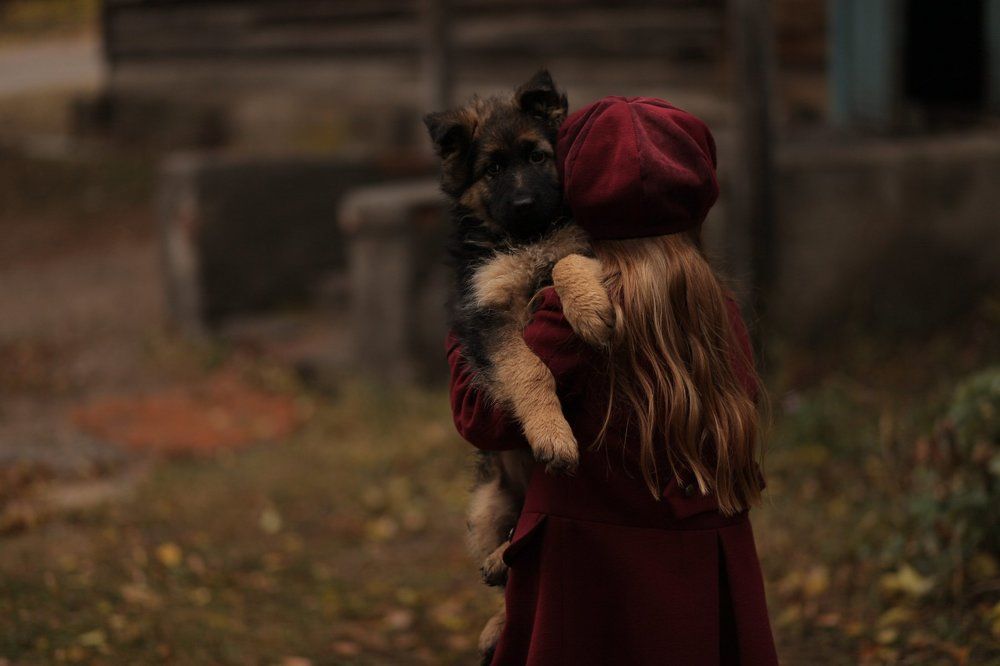 мечта о собаке