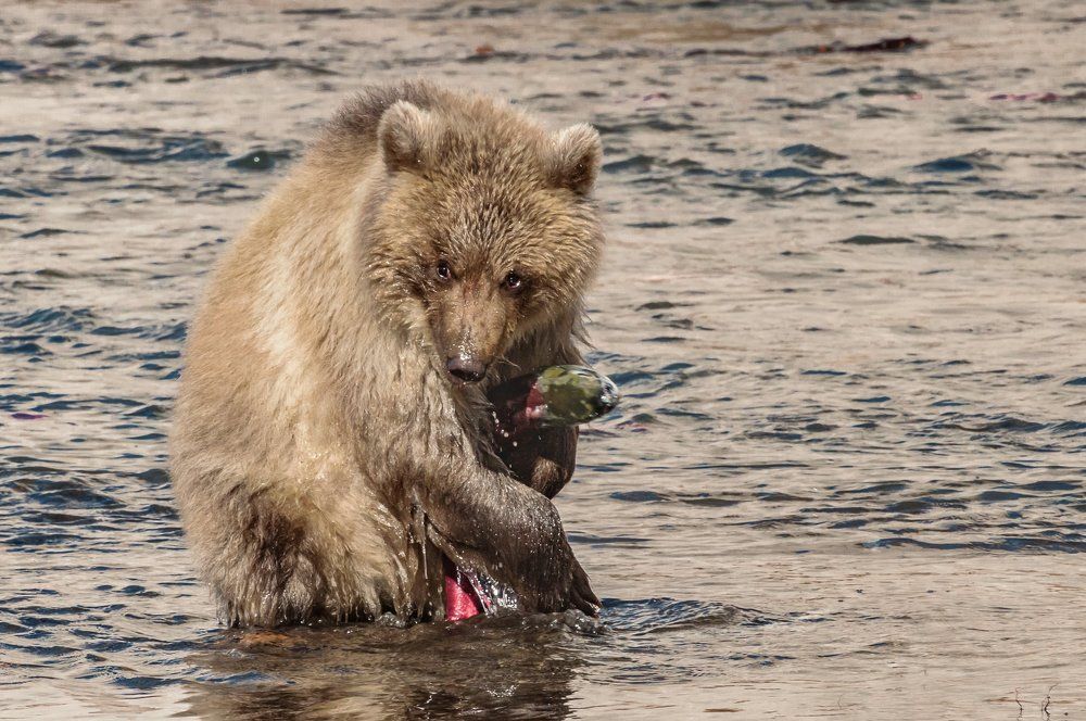 первый улов