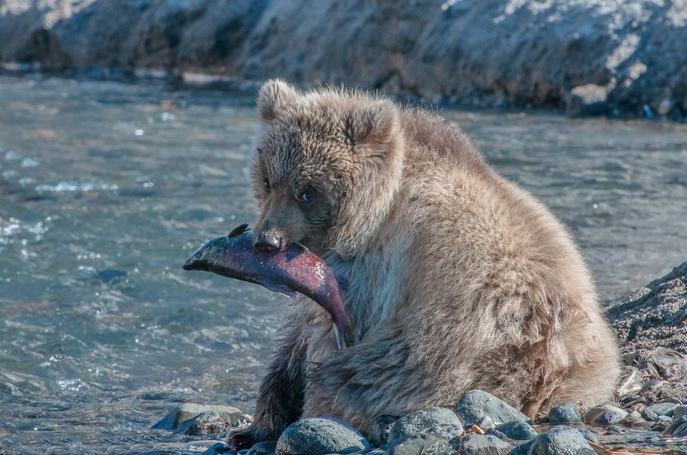 будет вкусным обед