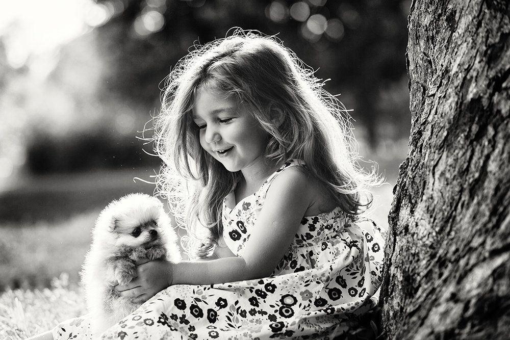 Алиса и Апельсин