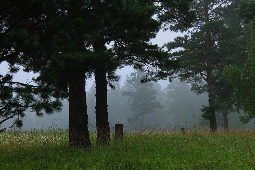 Зо околицей