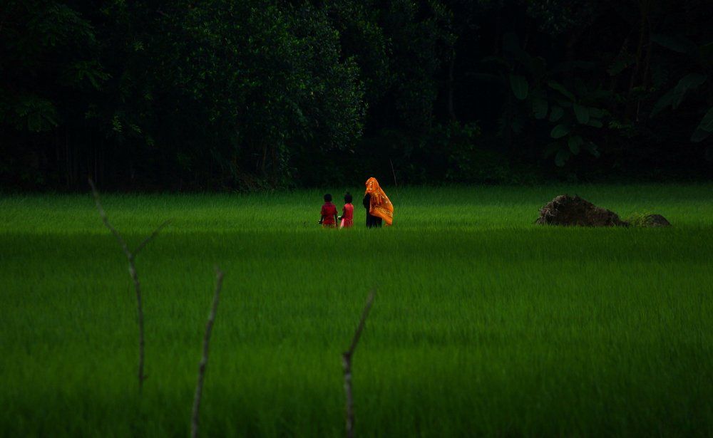 Come back with my mom