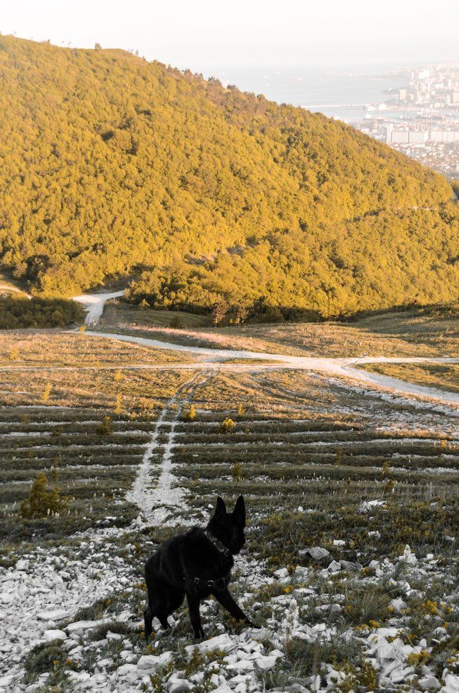 Взгляд с подъёма.