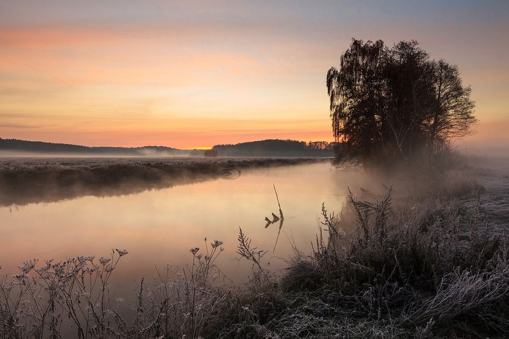 Осеннее утро