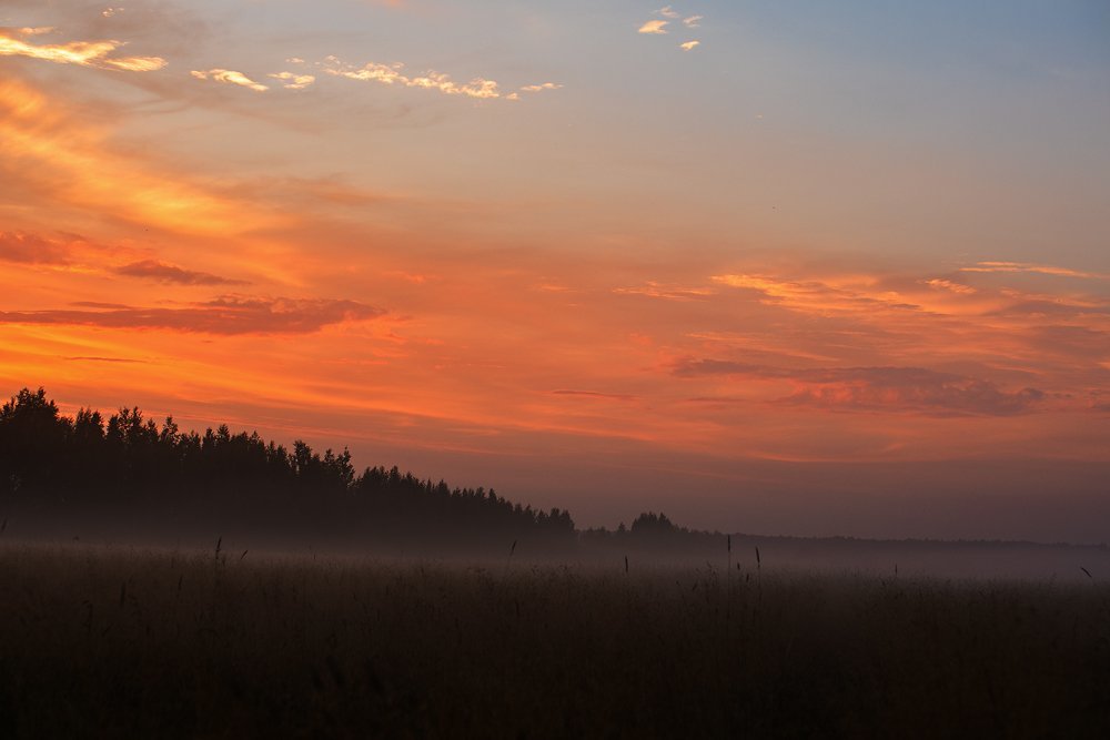Летний закат