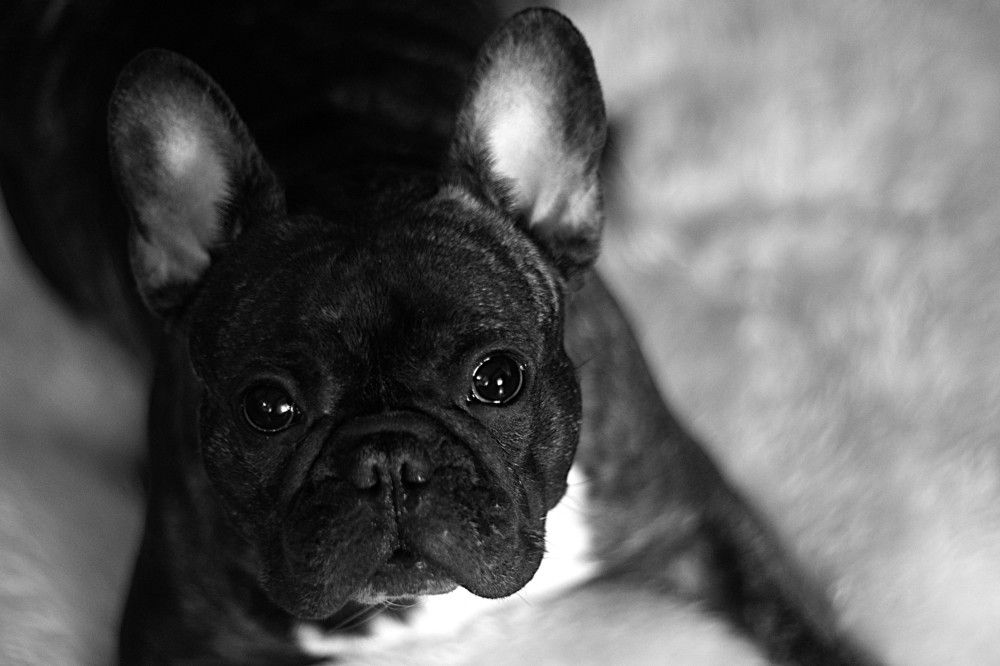 Моя прекрасная Джемма.