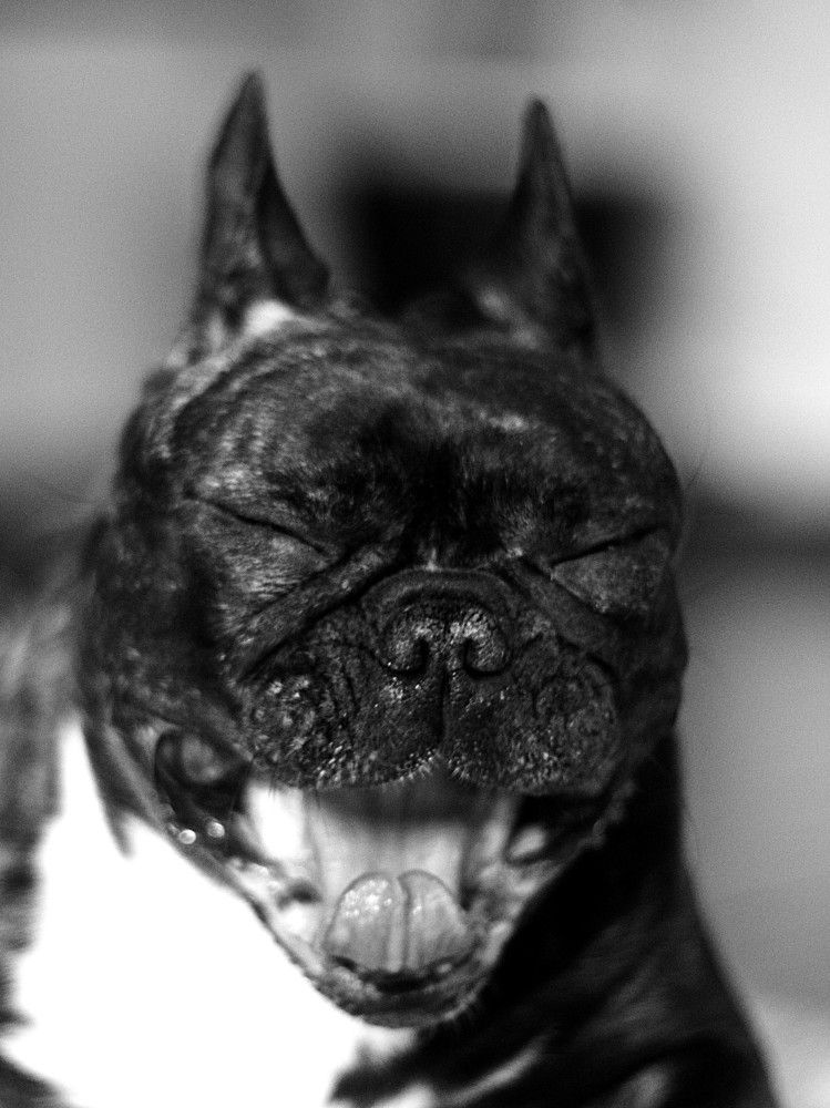 Моя прекрасная Джемма.