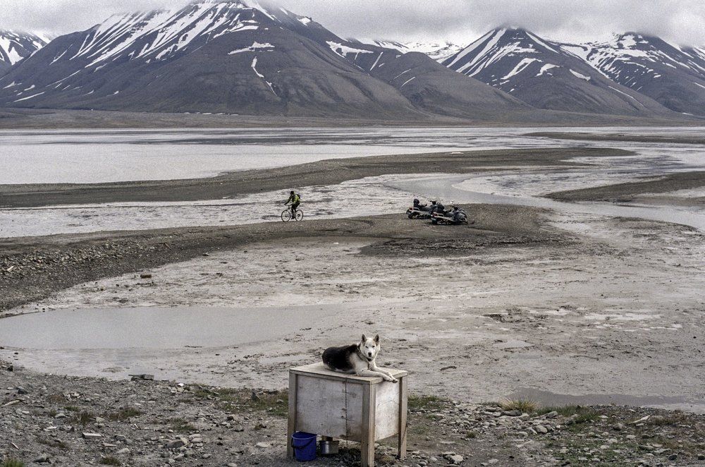 Шпицберген. Лонгйир. Лето.