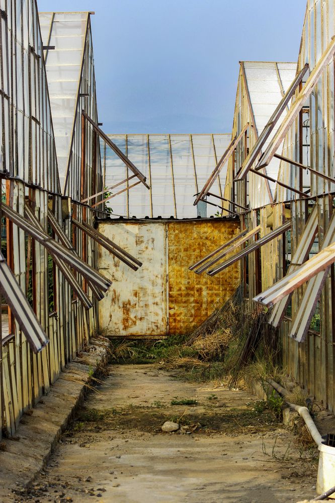 lane in the province