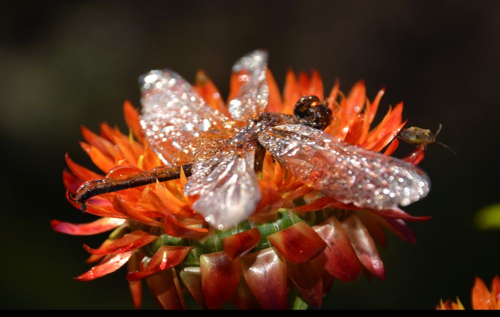 утренний  моцион...