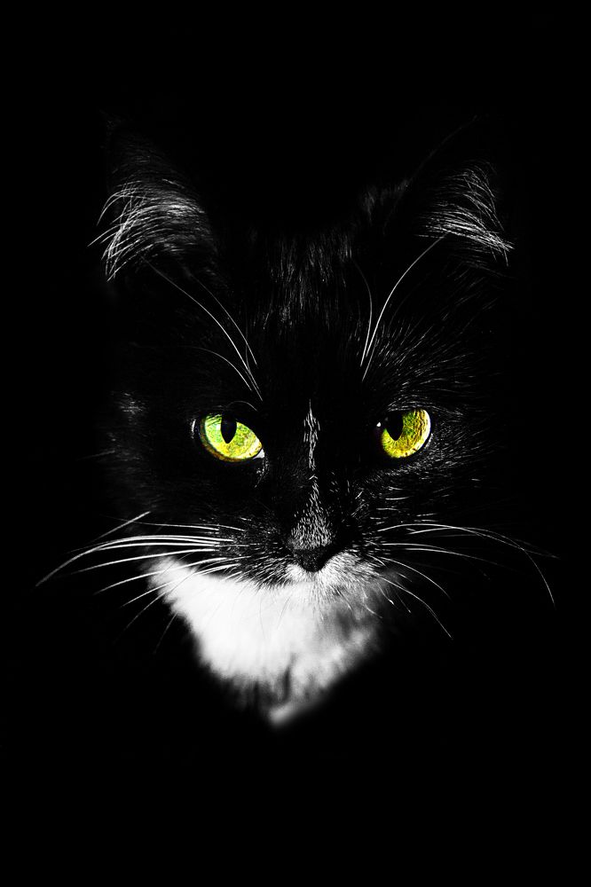 Взгляд из глубины...