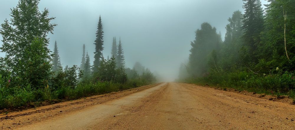 Уходящая в туман.