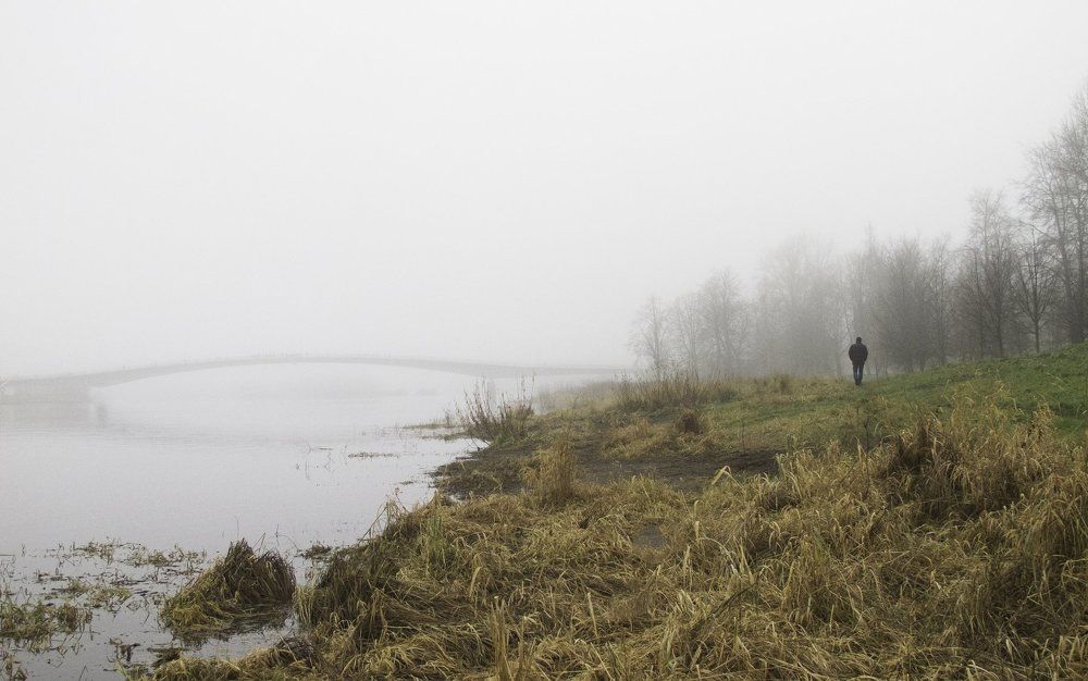 Мост виднеется вдалеке