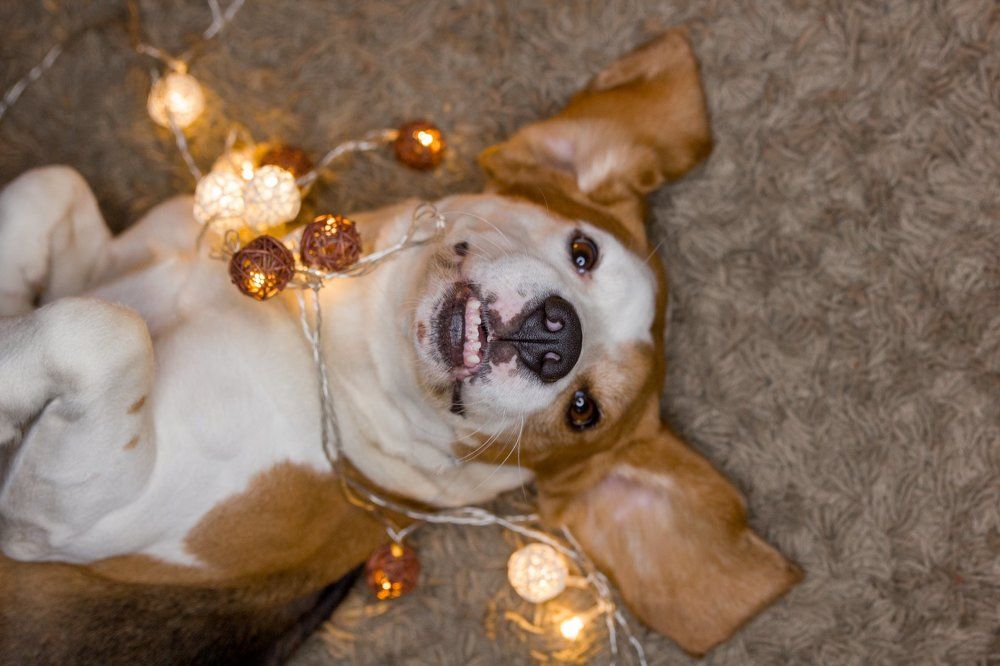 Photograph by Ирина Федорова