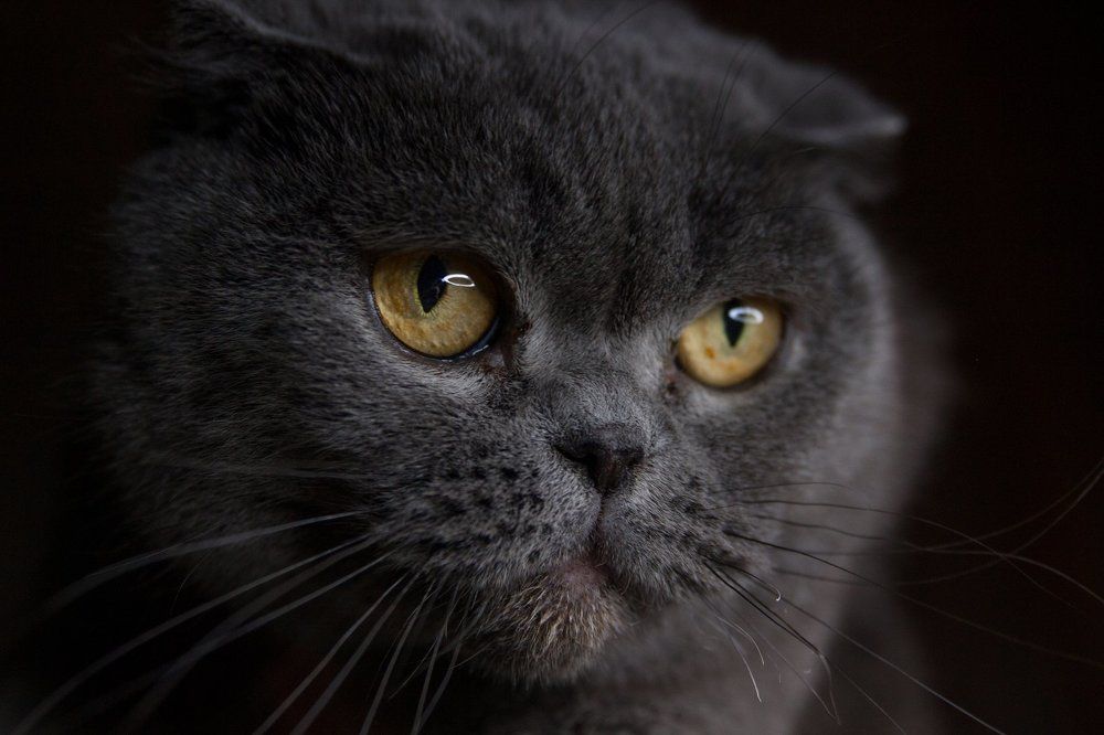 Photograph by Ирина Федорова