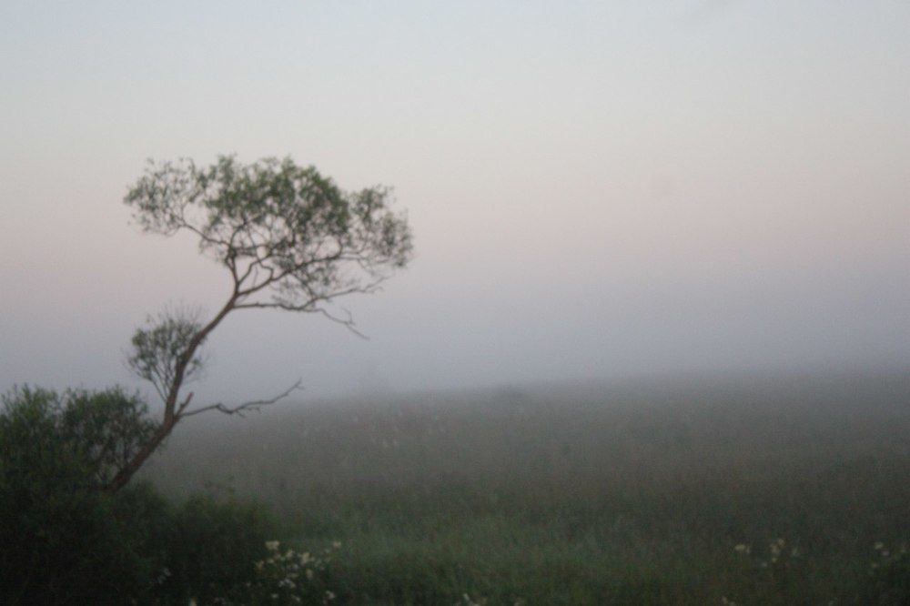 Photograph by Наталья