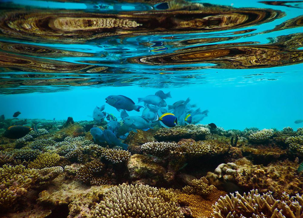 Синий вальс