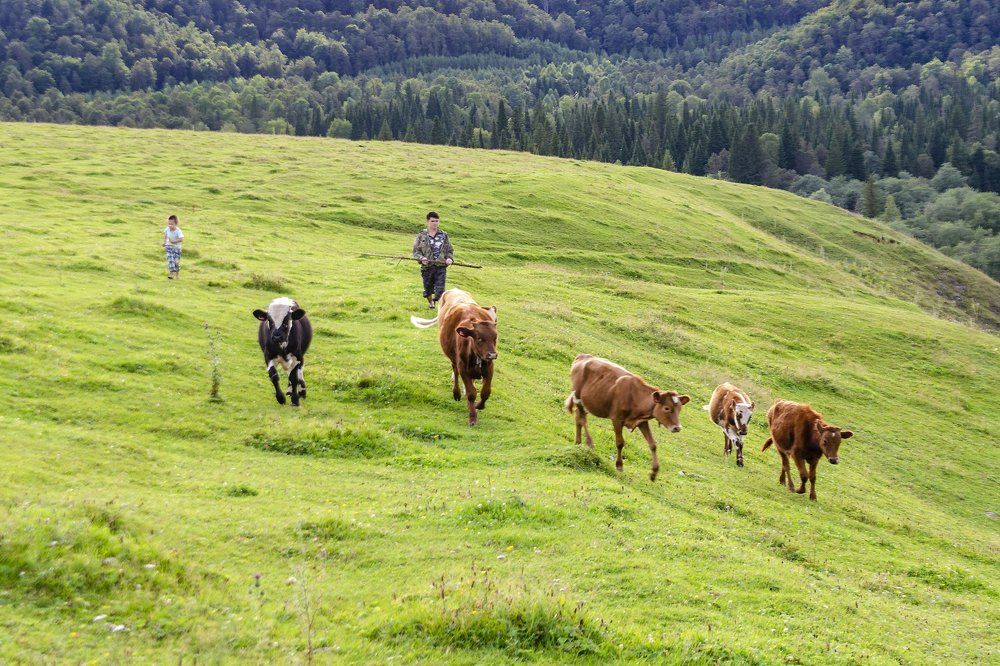 Дети в горах