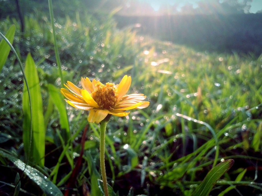 Flower photshoot